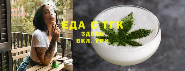 индика Богородск