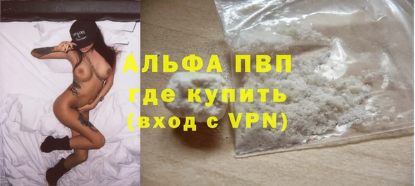 индика Богородск