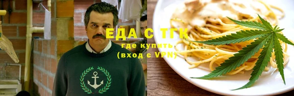 индика Богородск