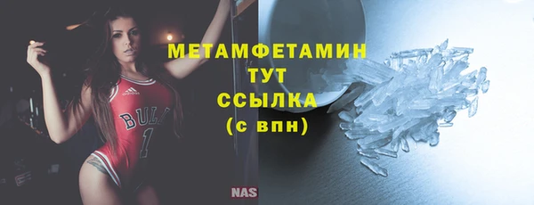 индика Богородск