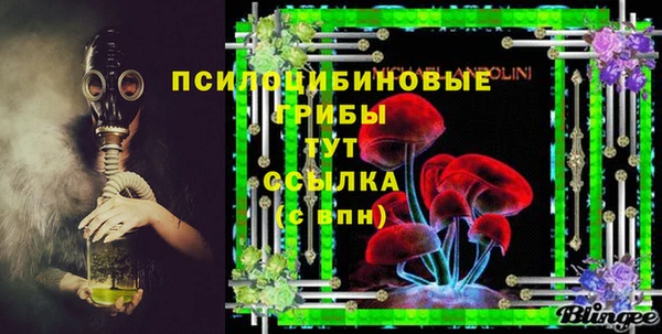 соль ск Бронницы