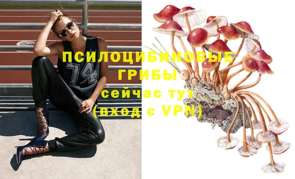 прущая мука Бородино