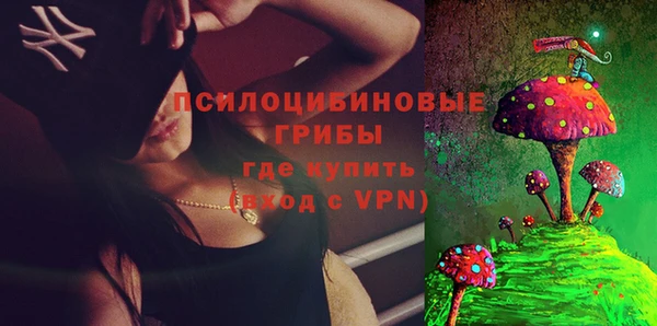 соль ск Бронницы