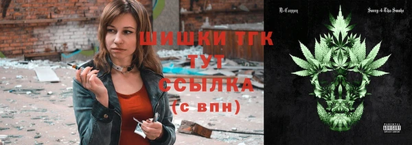 индика Богородск