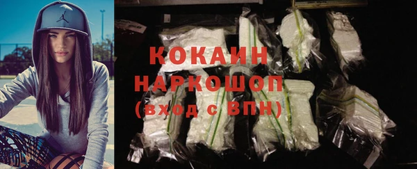 индика Богородск