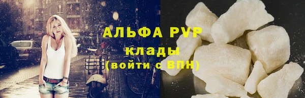 индика Богородск