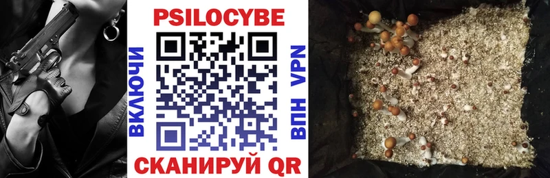 Галлюциногенные грибы Magic Shrooms Купить Георгиевск